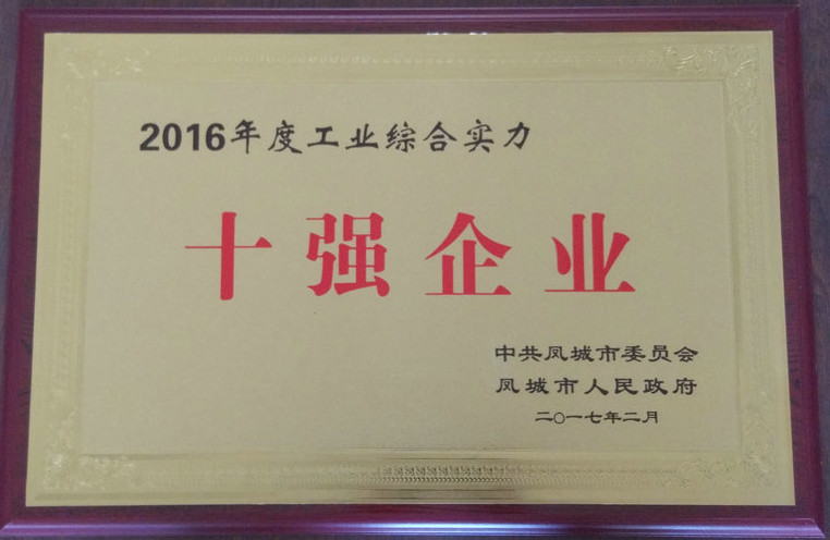 十強企業(yè) 2016.jpg